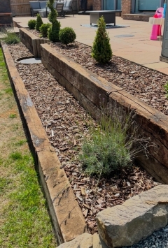 19