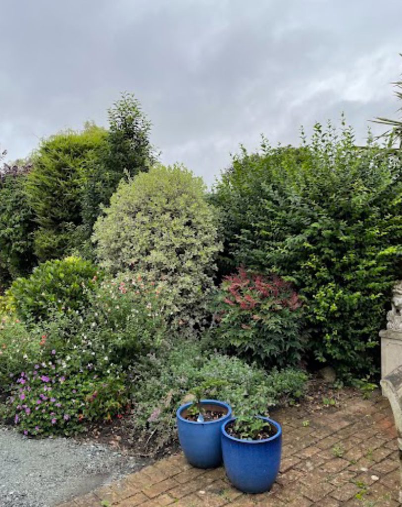 Garden Maintenance Services Oxted, Godstone & Caterham