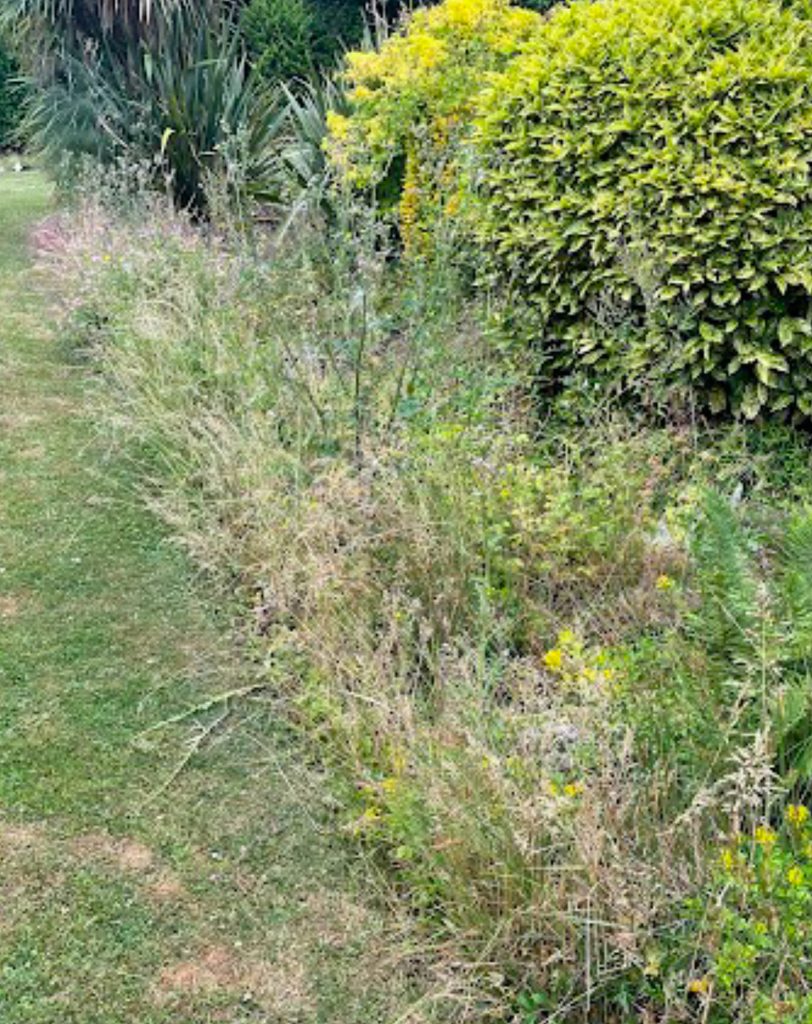 Garden Maintenance Services Oxted, Godstone & Caterham