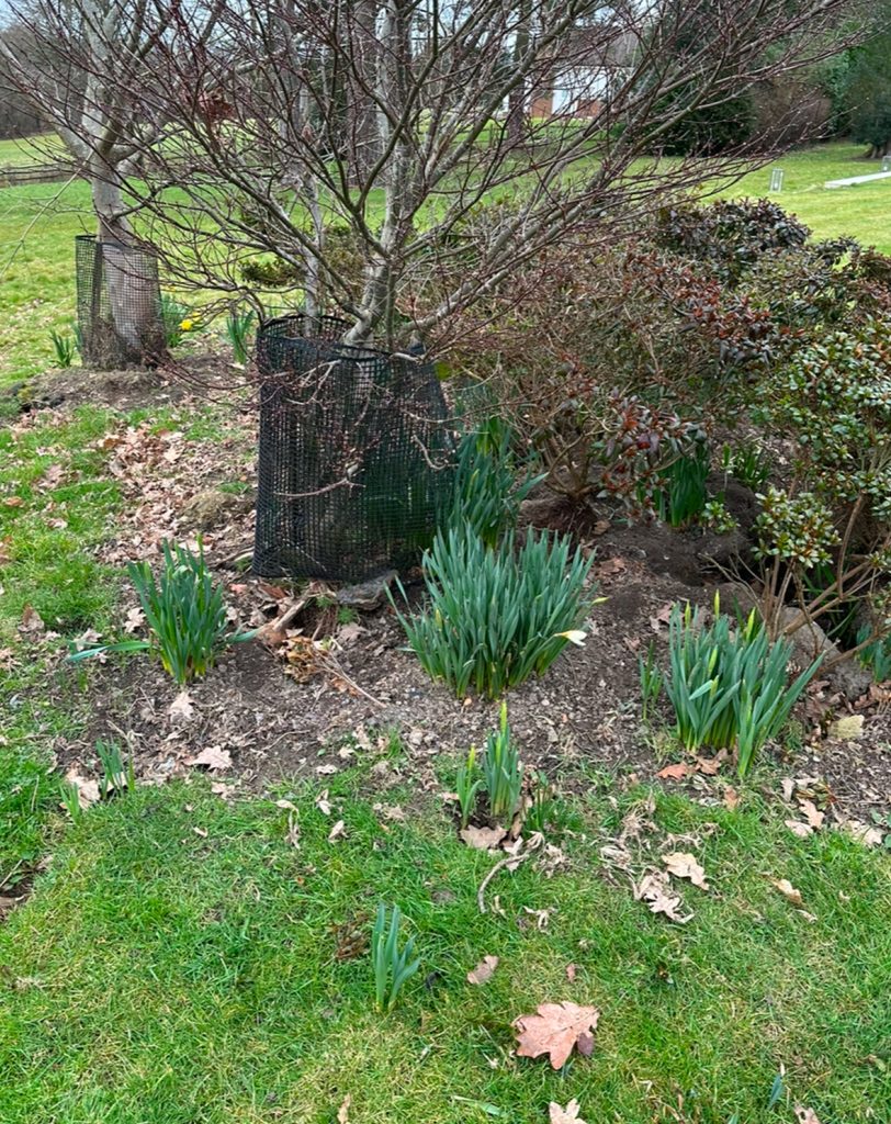 Garden Maintenance Services Oxted, Godstone & Caterham