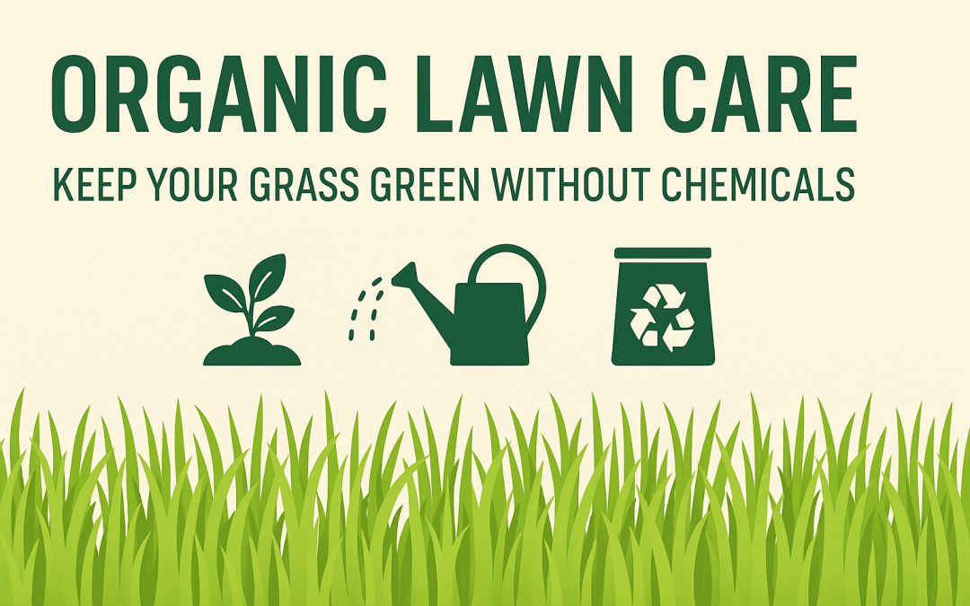 Organic Lawn Care: Keep Your Grass Green Without Chemicals